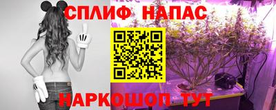 дмт Будённовск