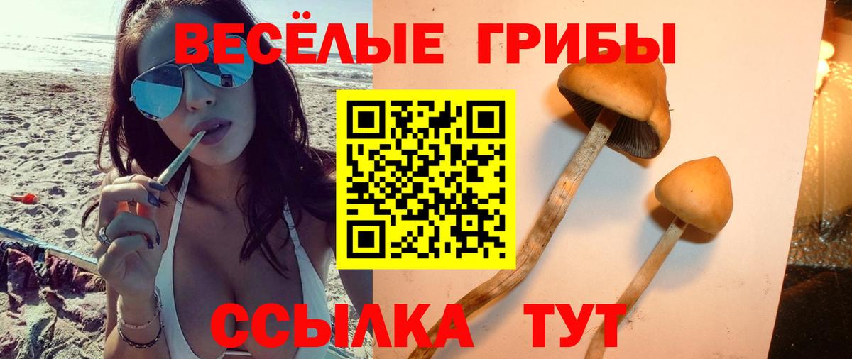 Псилоцибиновые грибы GOLDEN TEACHER Липецк